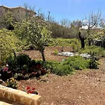 Traditional House With Fresh Vegetables Garden *