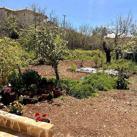 Traditional House With Fresh Vegetables Garden *