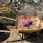 Traditional House With Fresh Vegetables Garden Pigadhákia