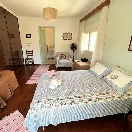 Traditional House With Fresh Vegetables Garden Case de vacanță Pigadhákia