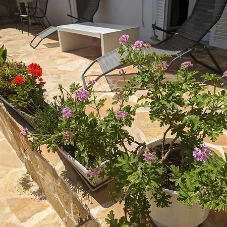 Traditional House With Fresh Vegetables Garden * Pigadhákia