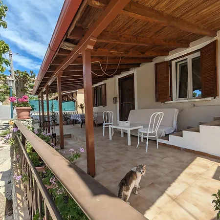 Traditional House With Fresh Vegetables Garden